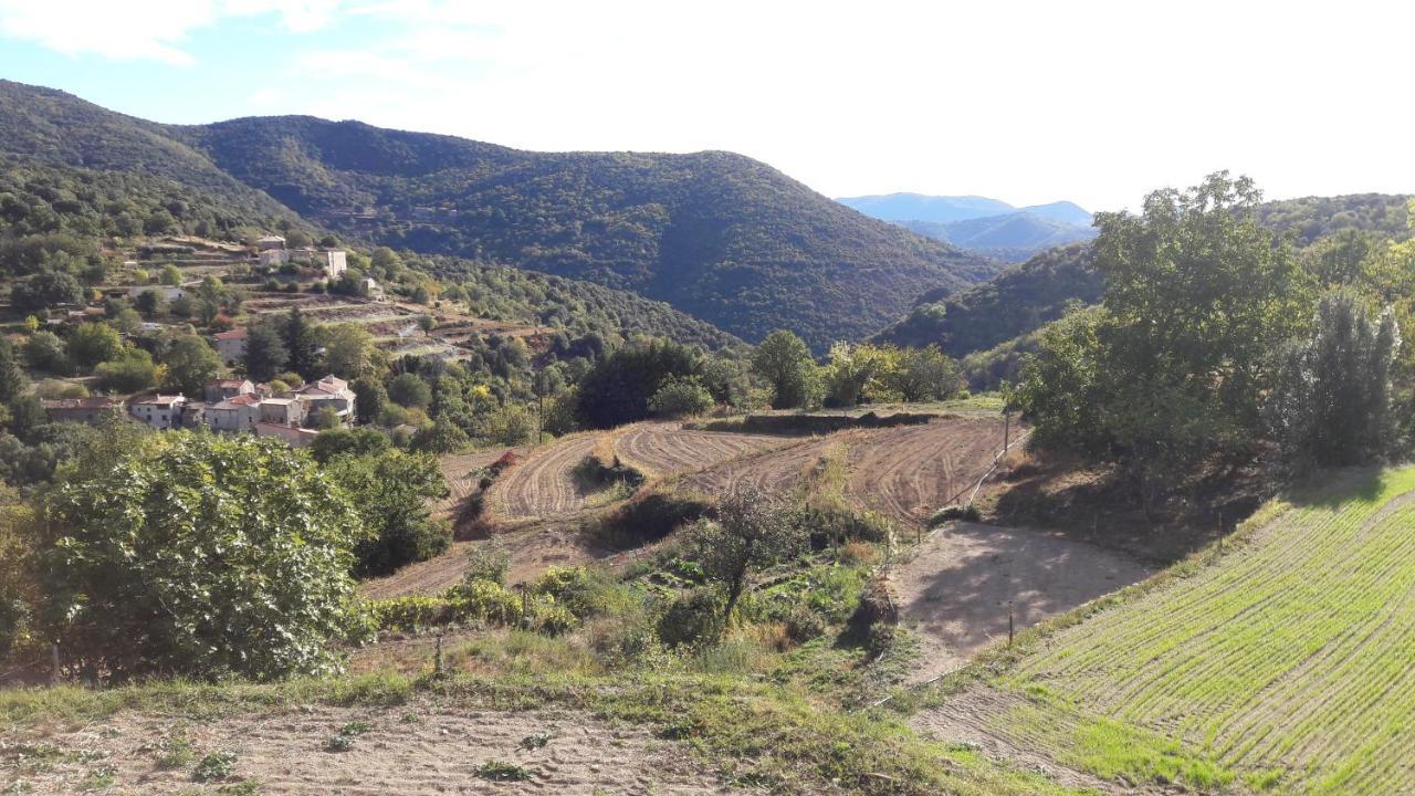 Villa Maison De Famille Dans Les Cevennes Mandagout Exterior foto